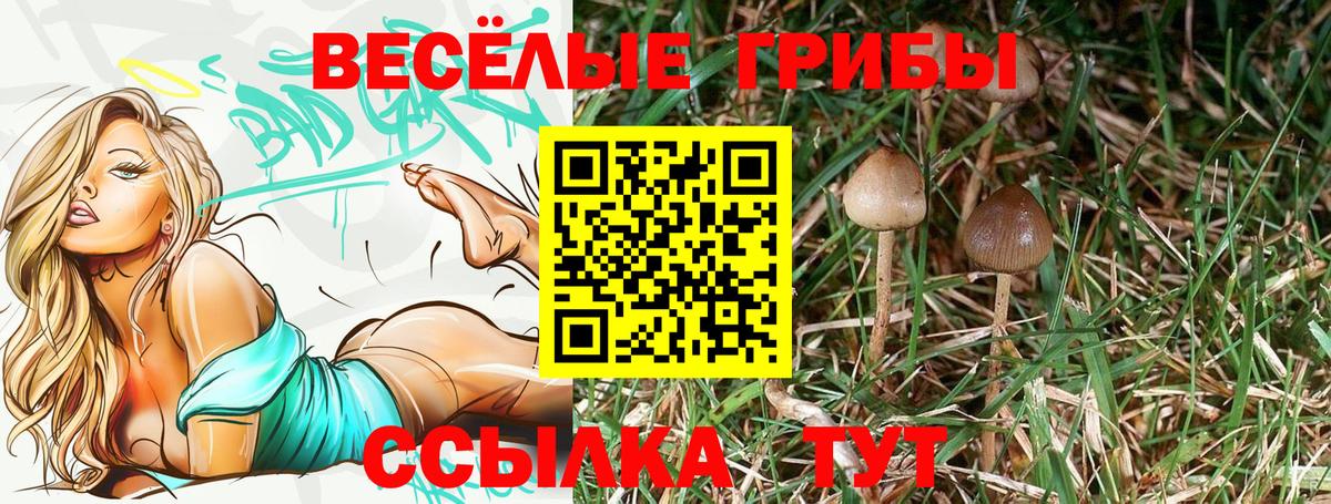 купить наркоту  Галлюциногенные грибы Psilocybe  Вход с VPN  Барнаул 